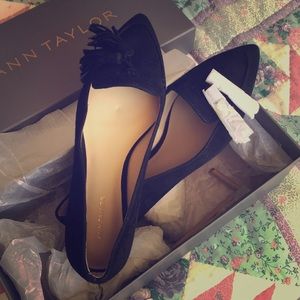 Ann Taylor Black Suede Evan Pointed Toe Flat 6M